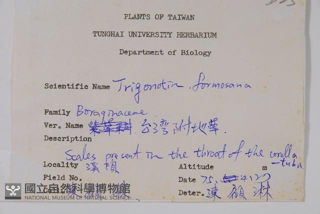 臺灣附地草藏品圖，第2張