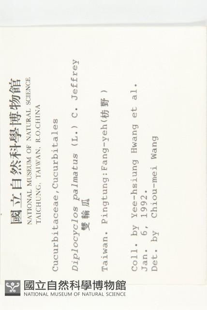 雙輪瓜藏品圖，第2張