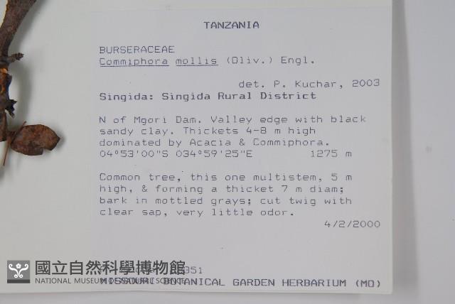 登錄號:S094280藏品圖，第2張