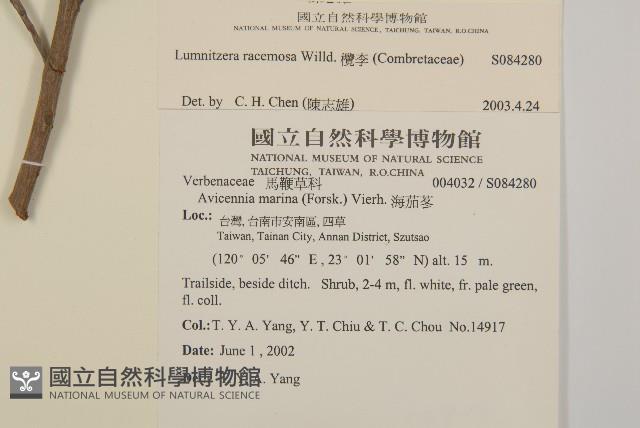 欖李藏品圖，第2張