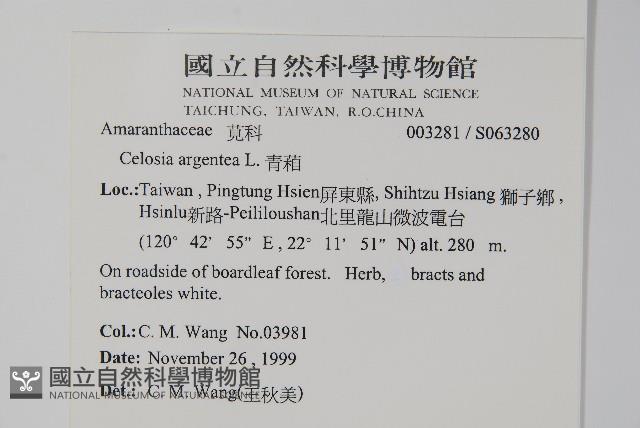 青葙藏品圖，第2張