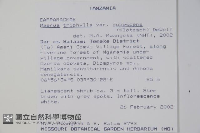 登錄號:S096480藏品圖，第2張