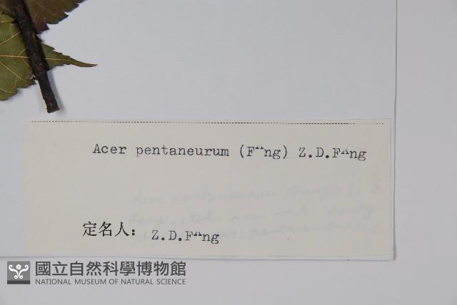 登錄號:S022480藏品圖，第2張