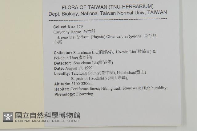 亞毛無心菜藏品圖，第2張