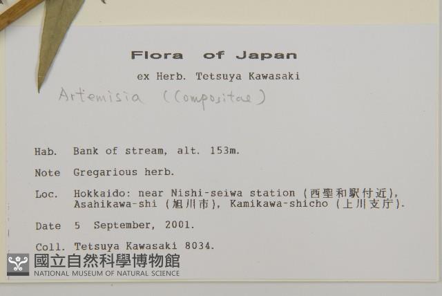 登錄號:S113480藏品圖，第2張