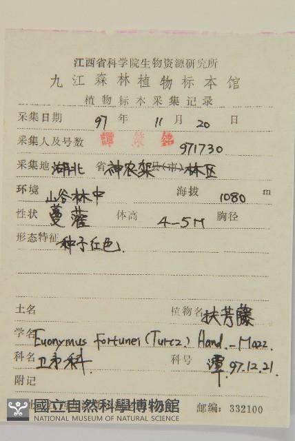 扶芳藤藏品圖，第2張