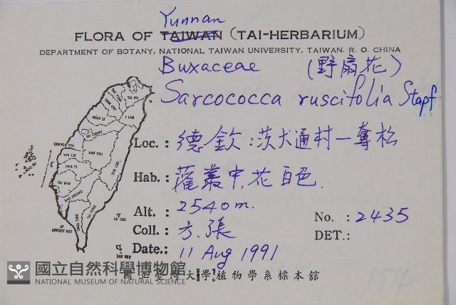 野扇花藏品圖，第2張