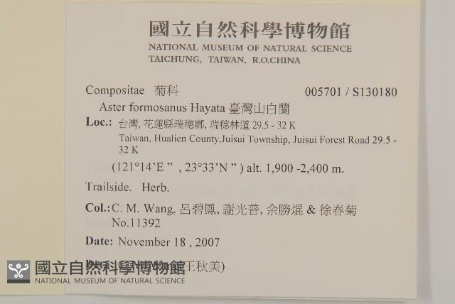 臺灣山白蘭藏品圖，第2張