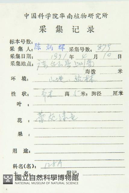 Japanese Elaeocapus Collection Image, Figure 2, Total 3 Figures