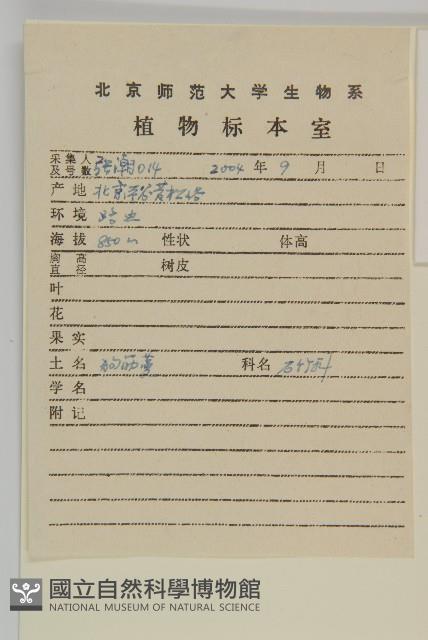 狗筋蔓藏品圖，第2張