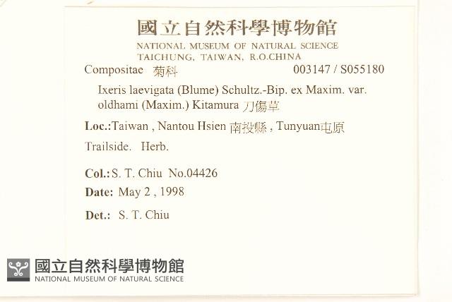 刀傷草藏品圖，第2張