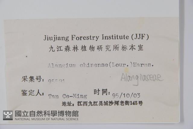 八角楓藏品圖，第2張