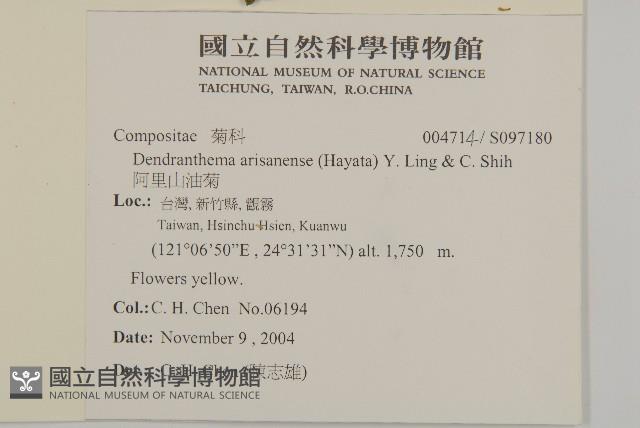 阿里山油菊藏品圖，第2張