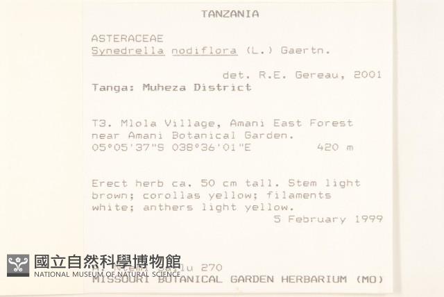 金腰箭藏品圖，第2張