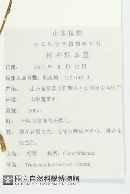 括樓藏品圖，第2張