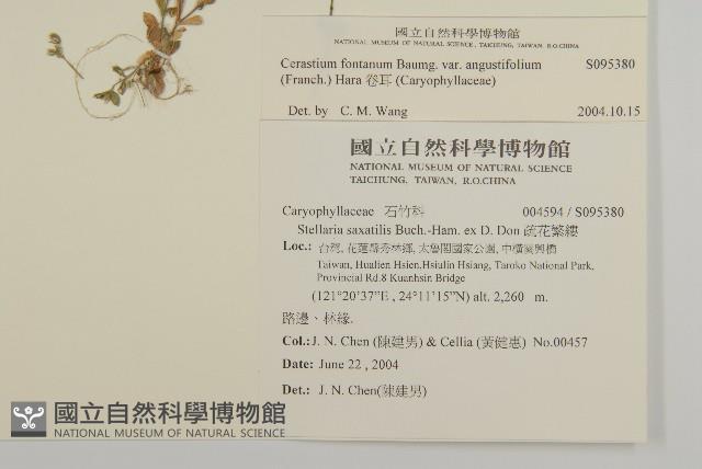 卷耳藏品圖，第2張