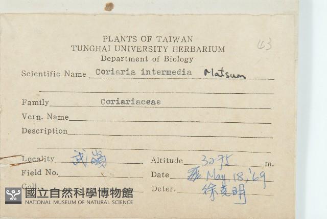 臺灣馬桑藏品圖，第2張