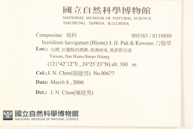 刀傷草藏品圖，第2張