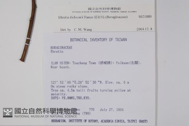 破布烏藏品圖，第2張