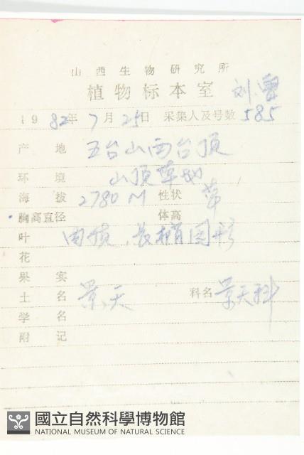 華北景天藏品圖，第2張