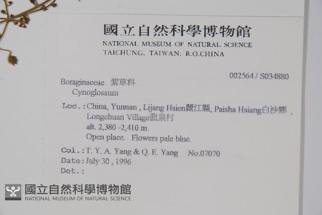 登錄號:S034880藏品圖，第2張