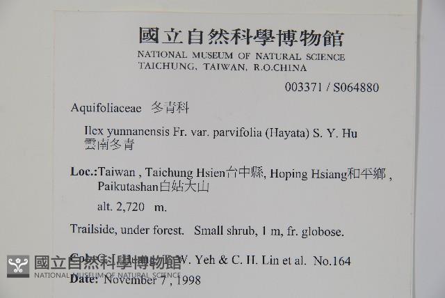 雲南冬青藏品圖，第2張