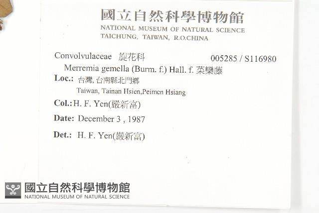 菜欒藤藏品圖，第2張