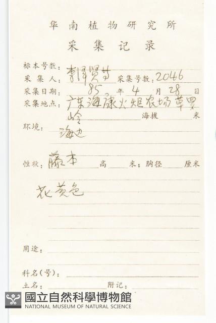 登錄號:S032980藏品圖，第2張