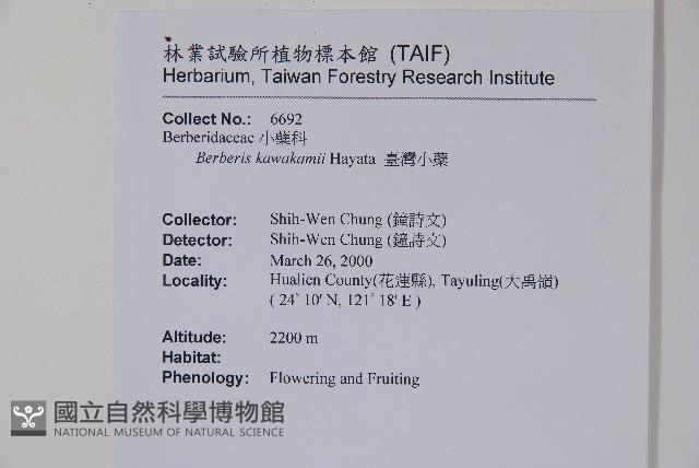 臺灣小蘗藏品圖，第2張