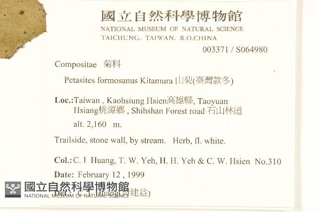 臺灣款冬藏品圖，第2張