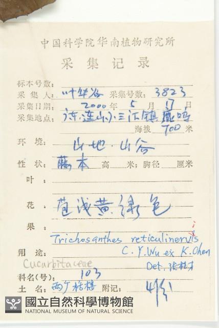 兩廣栝樓藏品圖，第2張