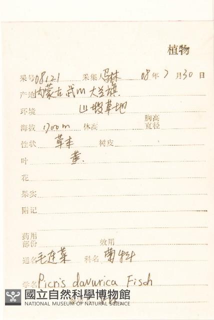 興安毛蓮菜藏品圖，第2張