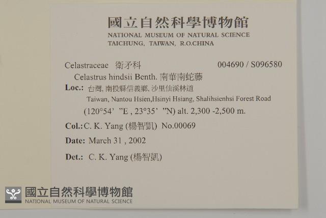 Chinese bitter sweet Collection Image, Figure 2, Total 2 Figures