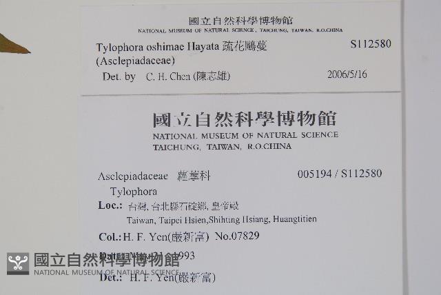 疏花鷗蔓藏品圖，第2張