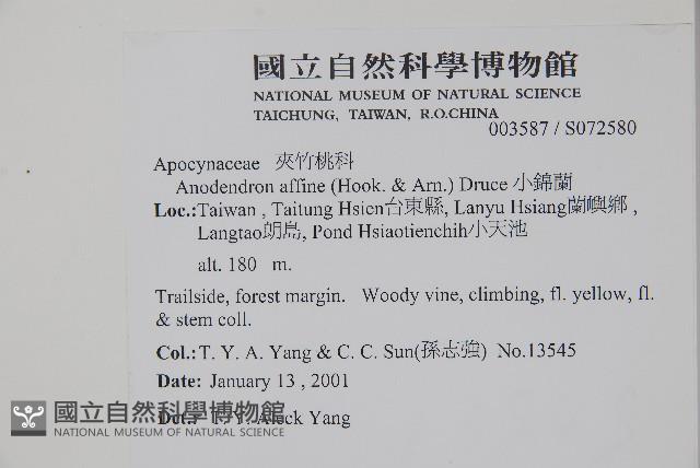 小錦蘭藏品圖，第2張