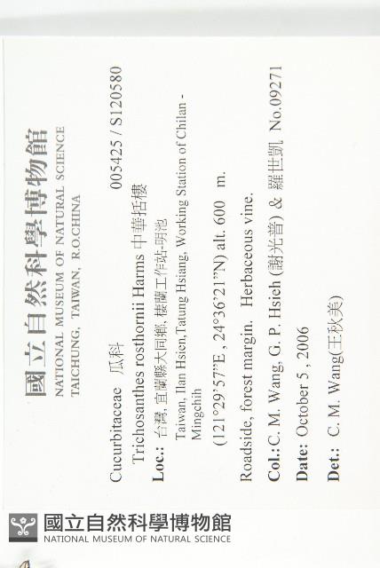 中華括樓藏品圖，第2張