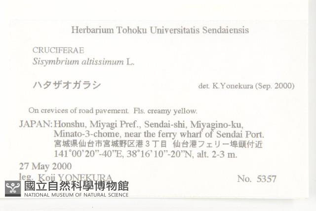 登錄號:S074580藏品圖，第2張