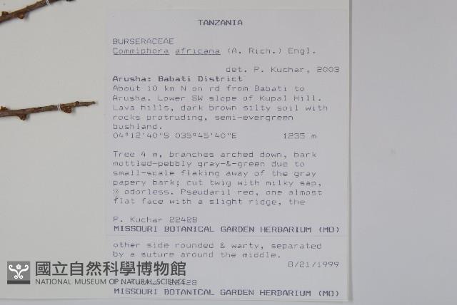 登錄號:S093580藏品圖，第2張