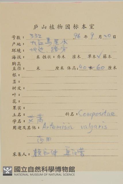 野艾蒿藏品圖，第2張