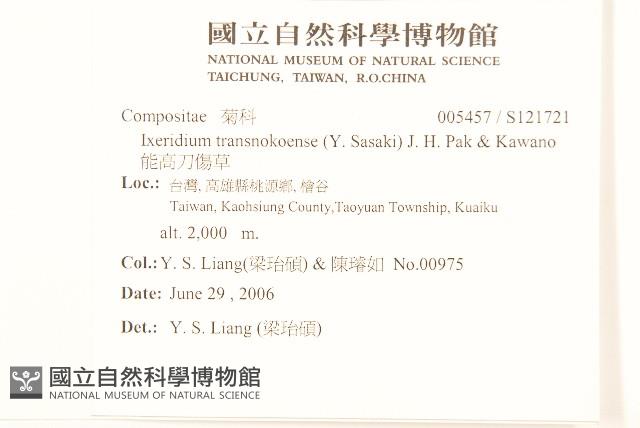 能高刀傷草藏品圖，第2張