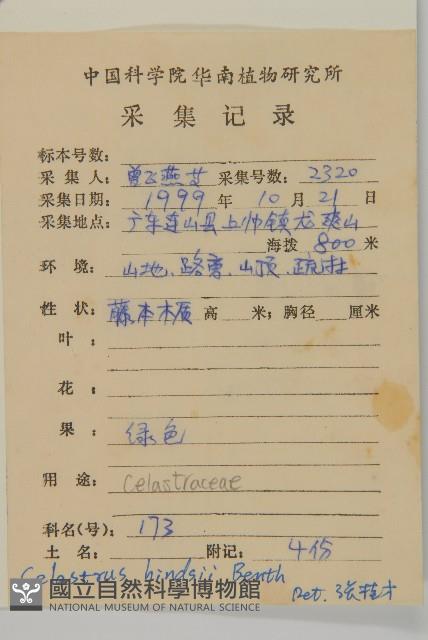 南華南蛇藤，青江藤藏品圖，第2張