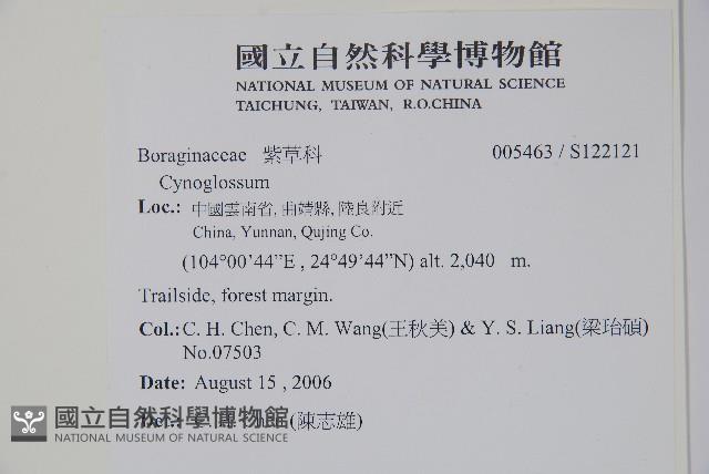 登錄號:S122121藏品圖，第2張