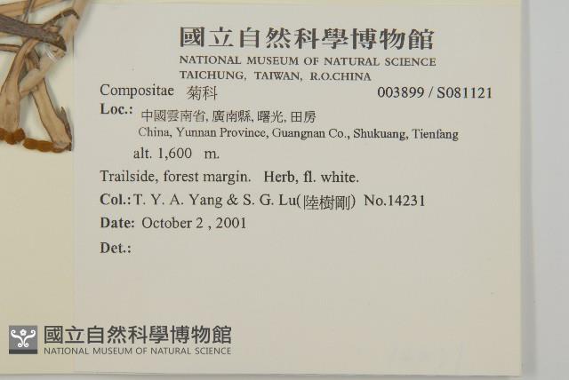 登錄號:S081121藏品圖，第2張