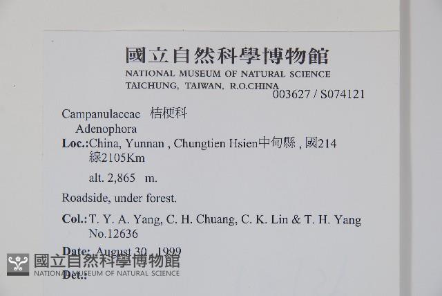 登錄號:S074121藏品圖，第2張