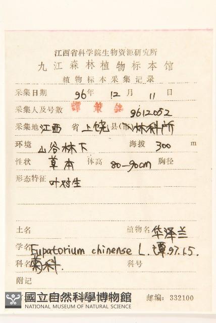 華澤蘭藏品圖，第2張