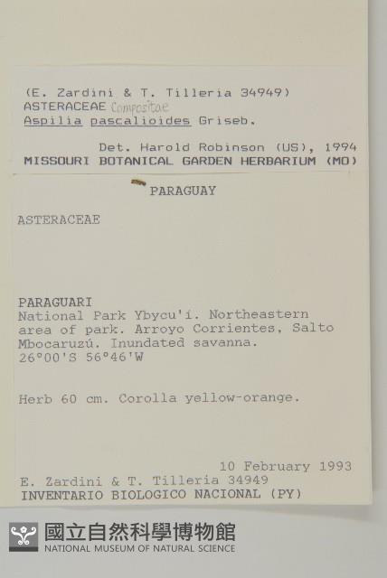 登錄號:S062321藏品圖，第2張