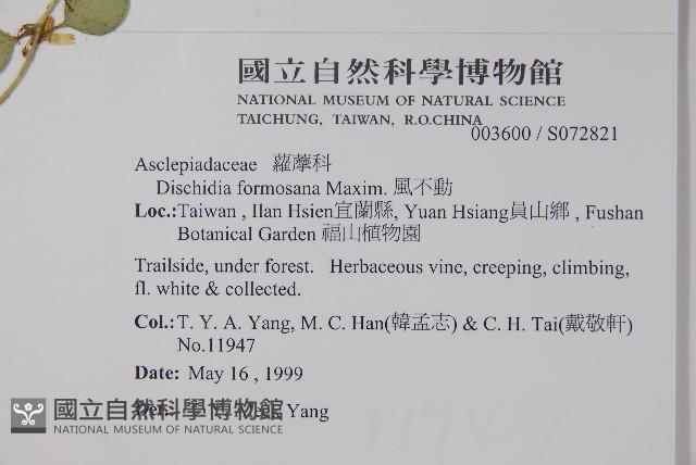 風不動藏品圖，第2張