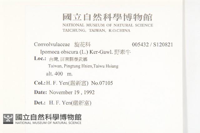 野牽牛藏品圖，第2張