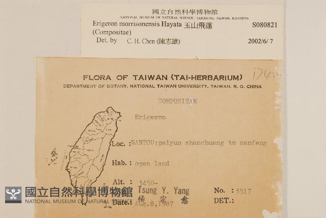 玉山飛蓬藏品圖，第2張