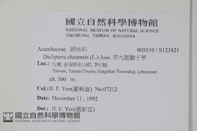 華九頭獅子草藏品圖，第2張